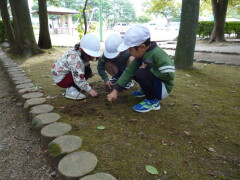 令和４年度秋　年中園外保育　亀田公園